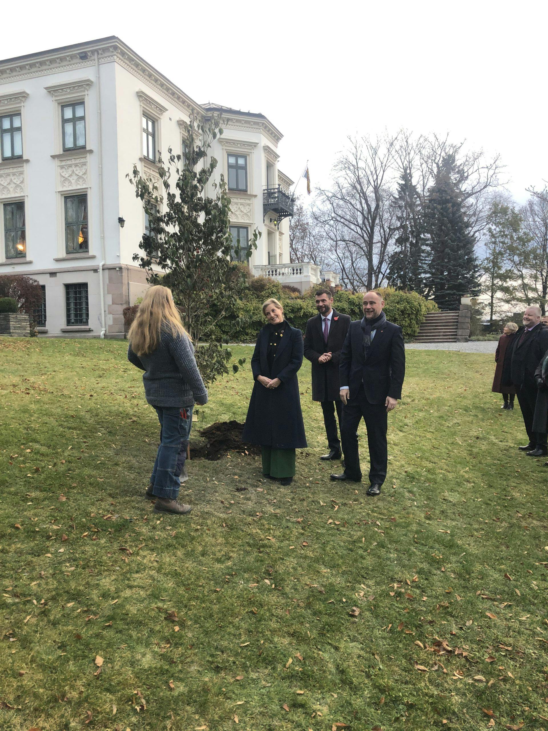 img 6498 Q8thf30B Grevinnne Sophie platet et tre i dronning Mauds minne utenfor Den britiske ambassaden i Oslo. Det er starten på Dronning Mauds Hage